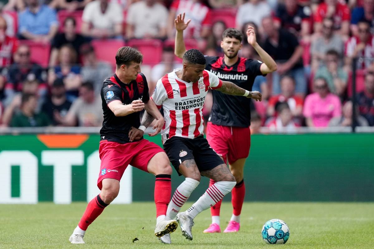 范弗里特 范弗里特