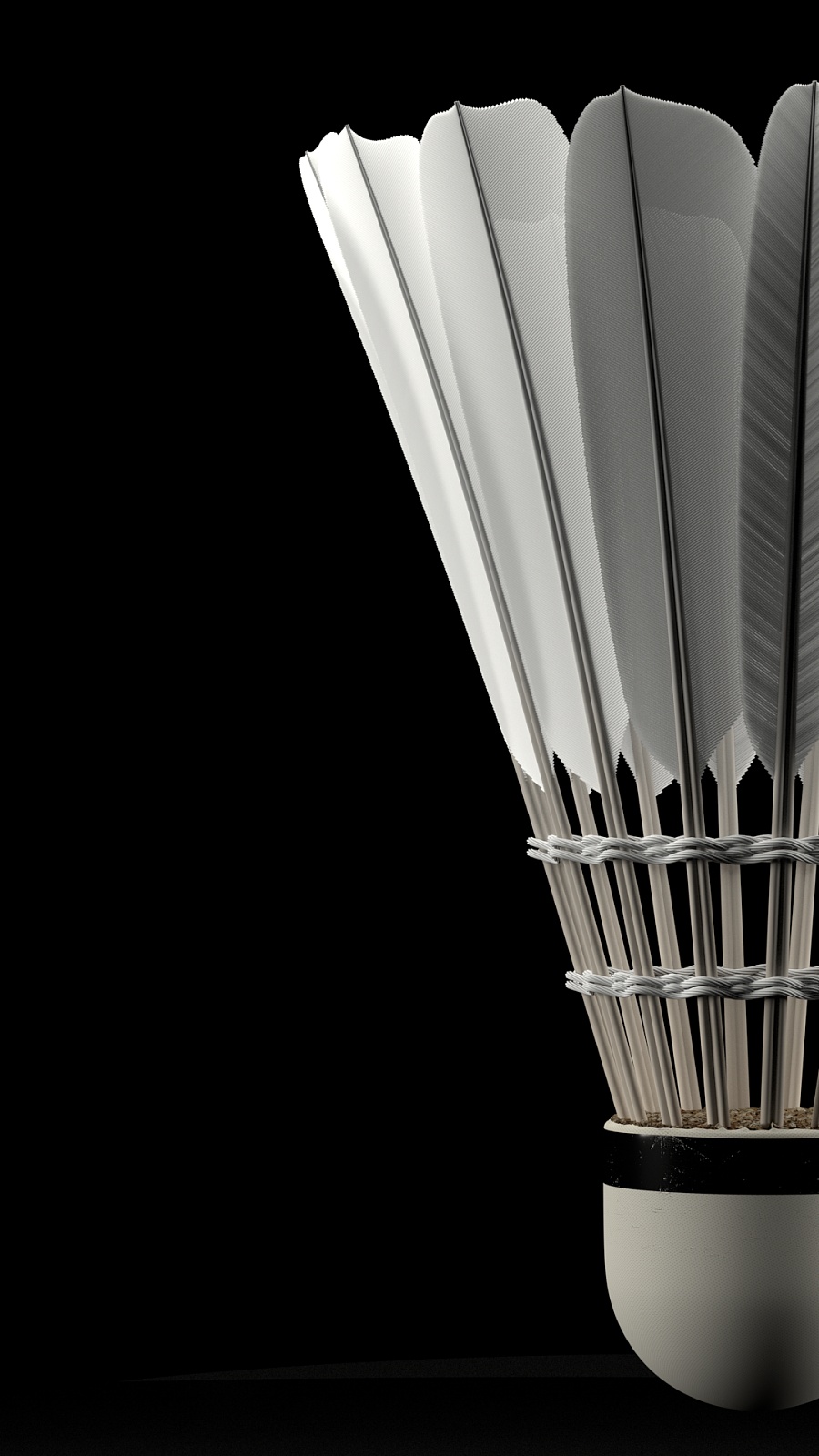 瞩目的八连 瞩目的八连